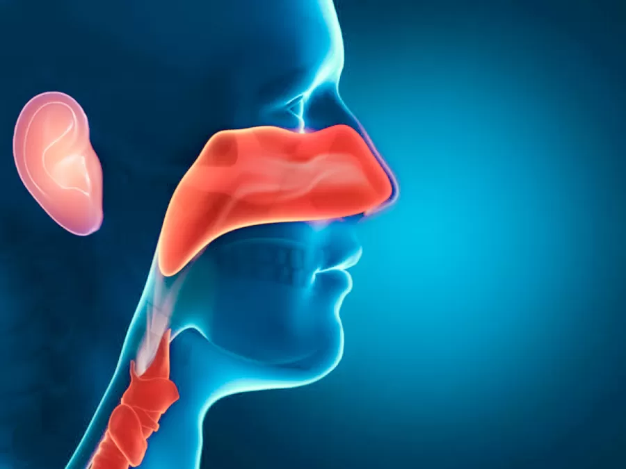 Лечение заболеваний ЛОР-органов в санатории - фотография