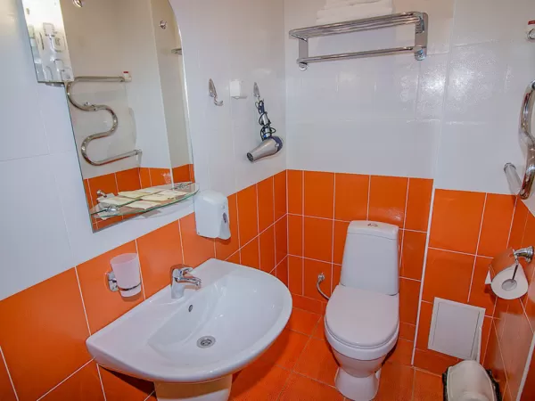 Одноместный номер 1 категории в 6 корпусе в санатории Металлург в городе Ессентуки - фотография